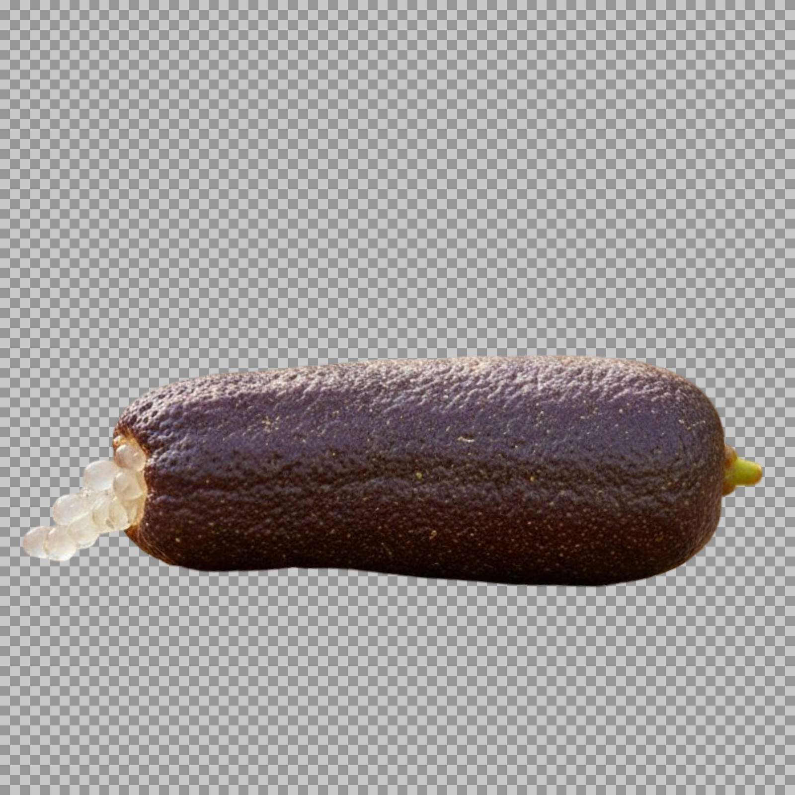 Finger Lime PNG | Transparent Citrus Caviar Image...