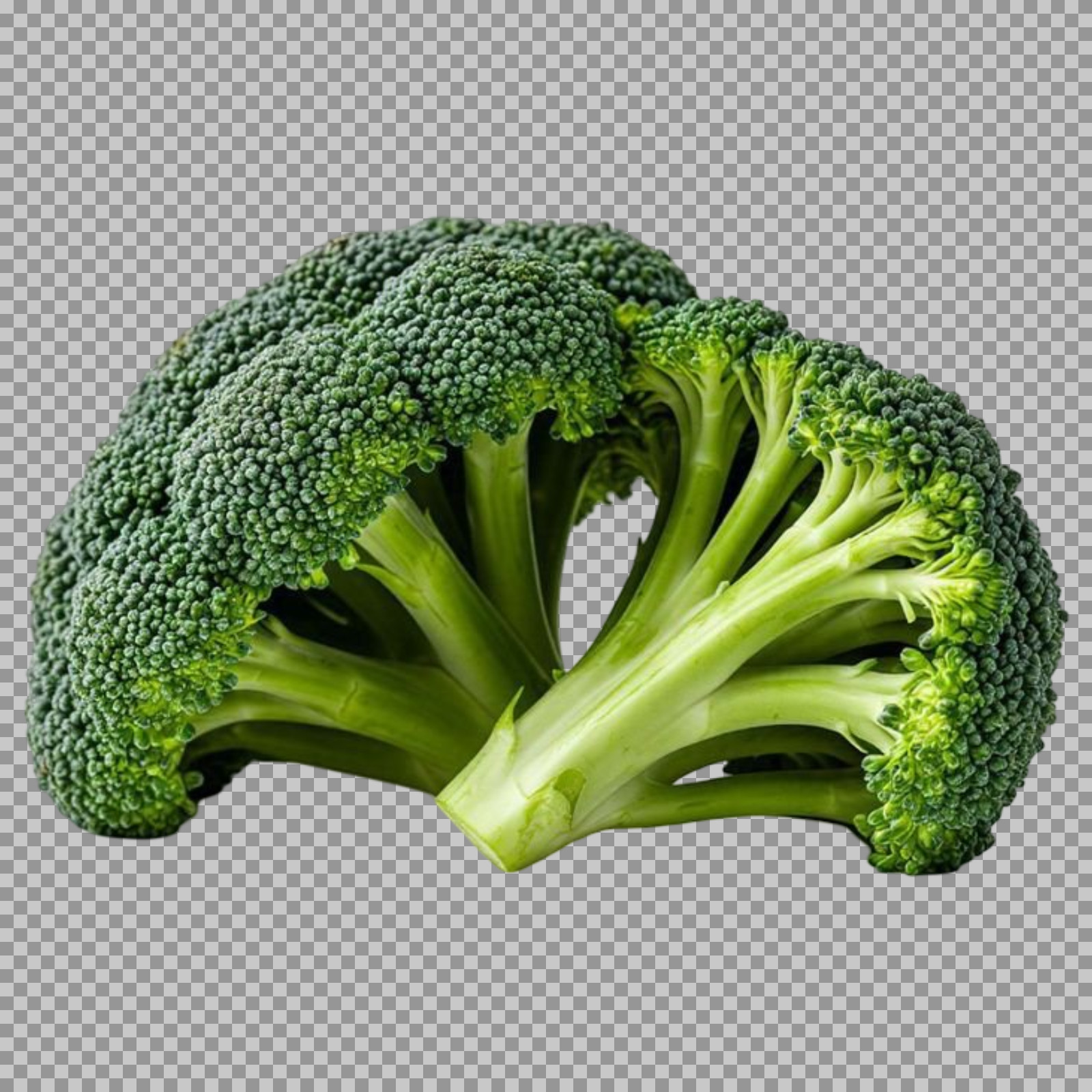 Fresh Broccoli PNG Image | Healthy Green Vegetable...