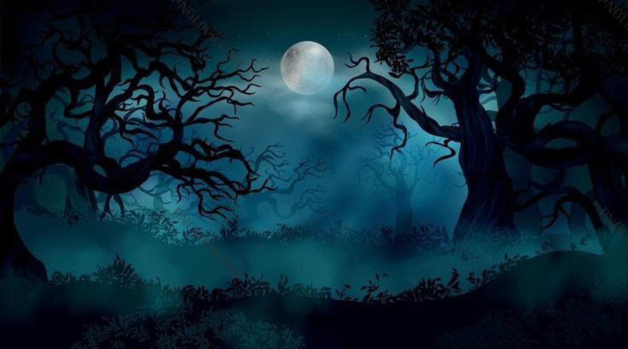 Mysterious Dark Forest Background with Full Moon