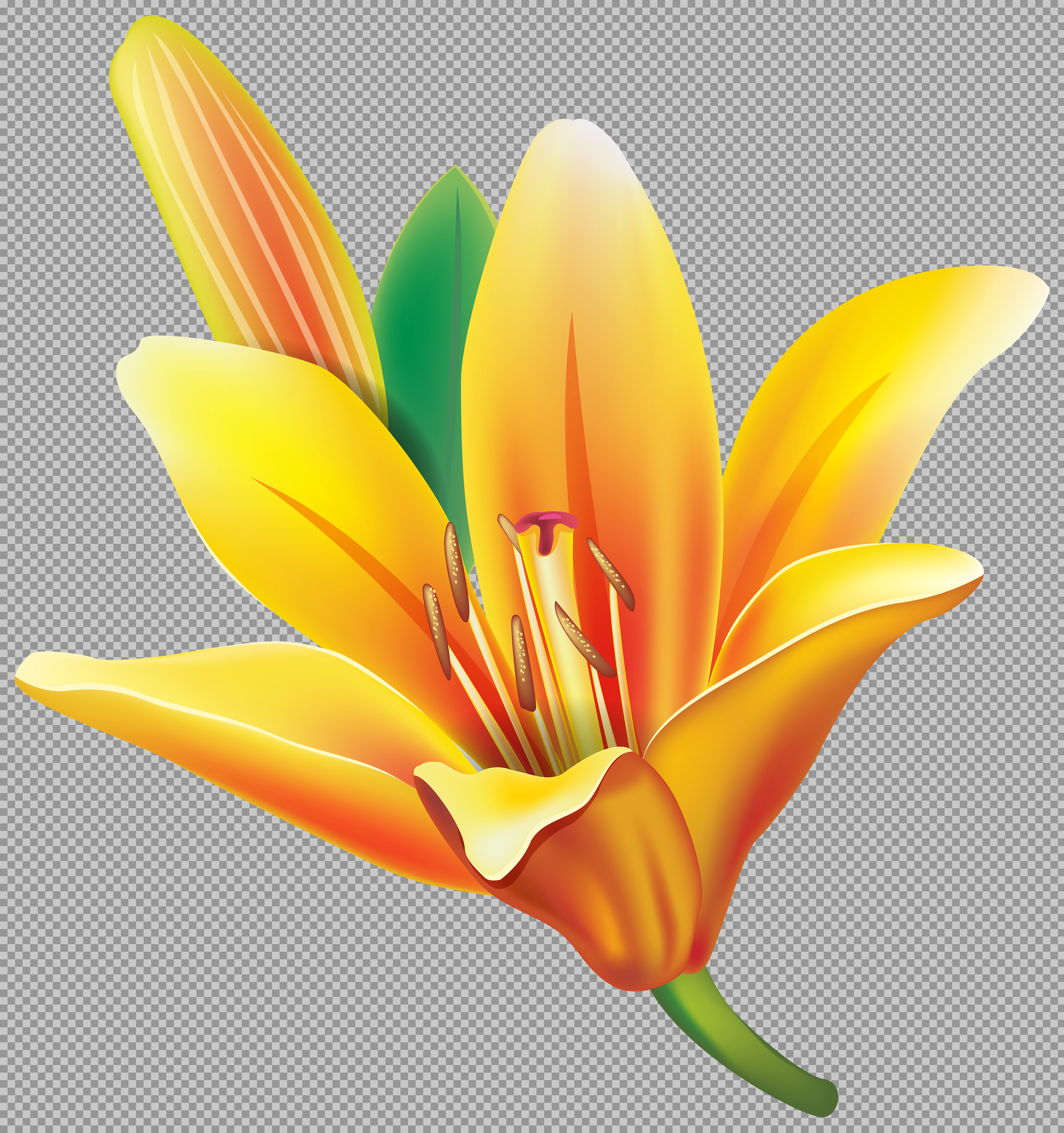 Vibrant Yellow Lily Flower Illustration | Royalty-Free Floral Vector...