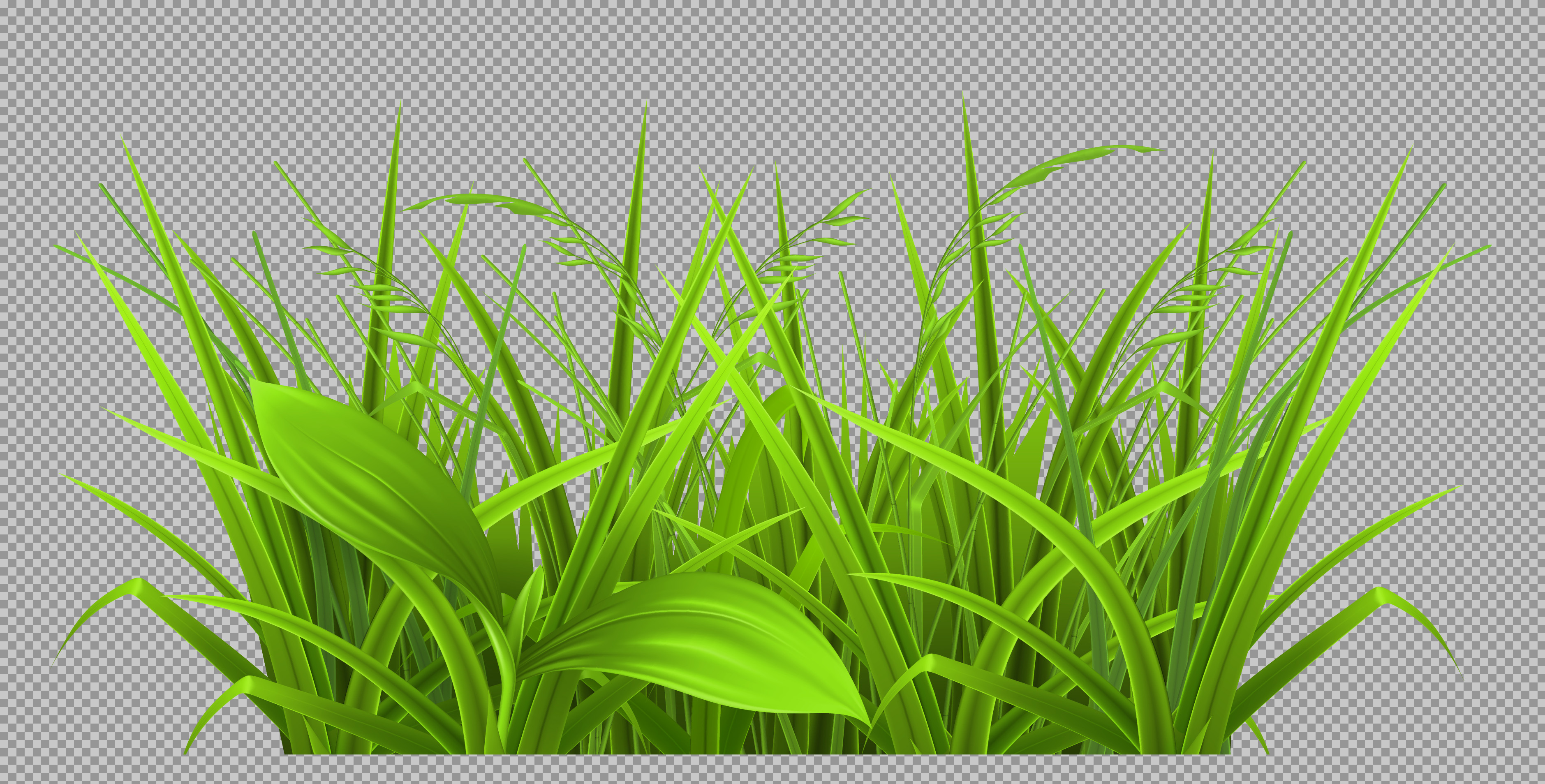 Lush Green Grass PNG | Realistic Garden & Lawn Illustration