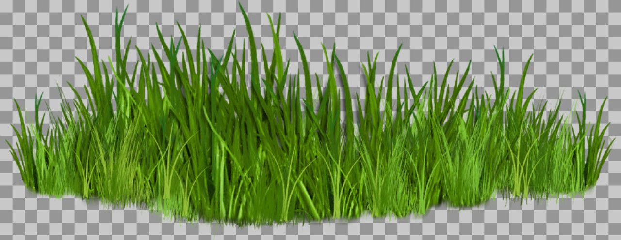 Lush Green Grass Patch PNG | Realistic Nature Cutout...