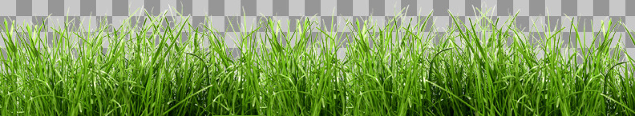 Green Grass Border PNG | Realistic Lawn Strip Cutout