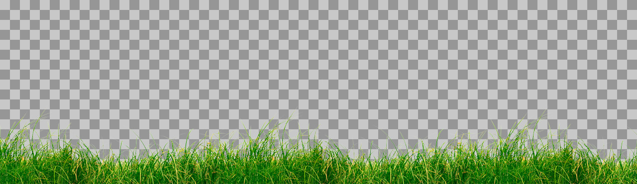 Wild Grass Border PNG | Realistic Natural Meadow Strip
