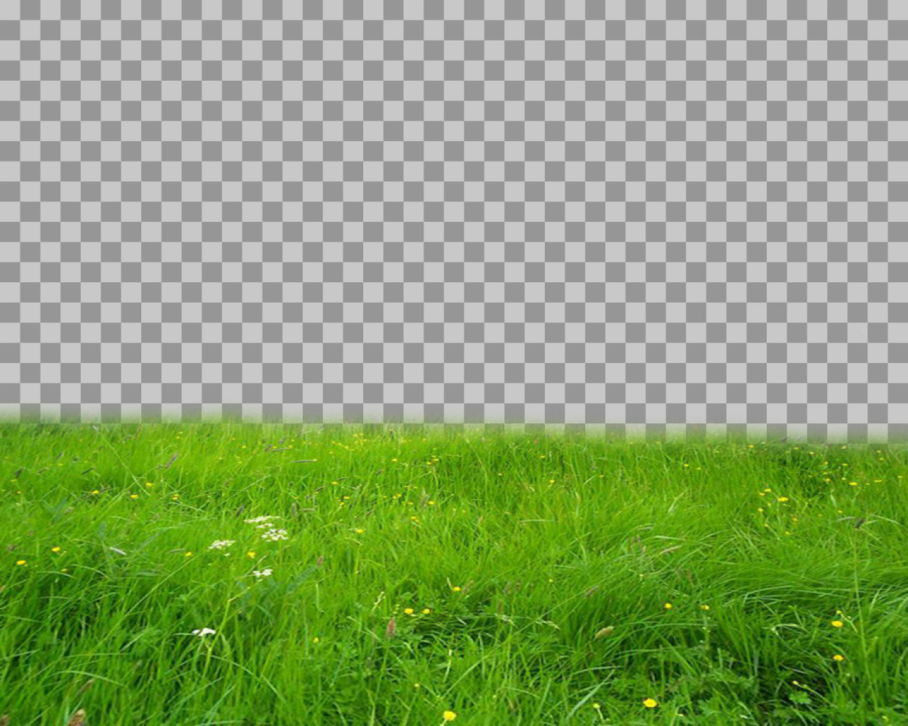 Green Grass Field PNG | Meadow with Wildflowers Cutout...