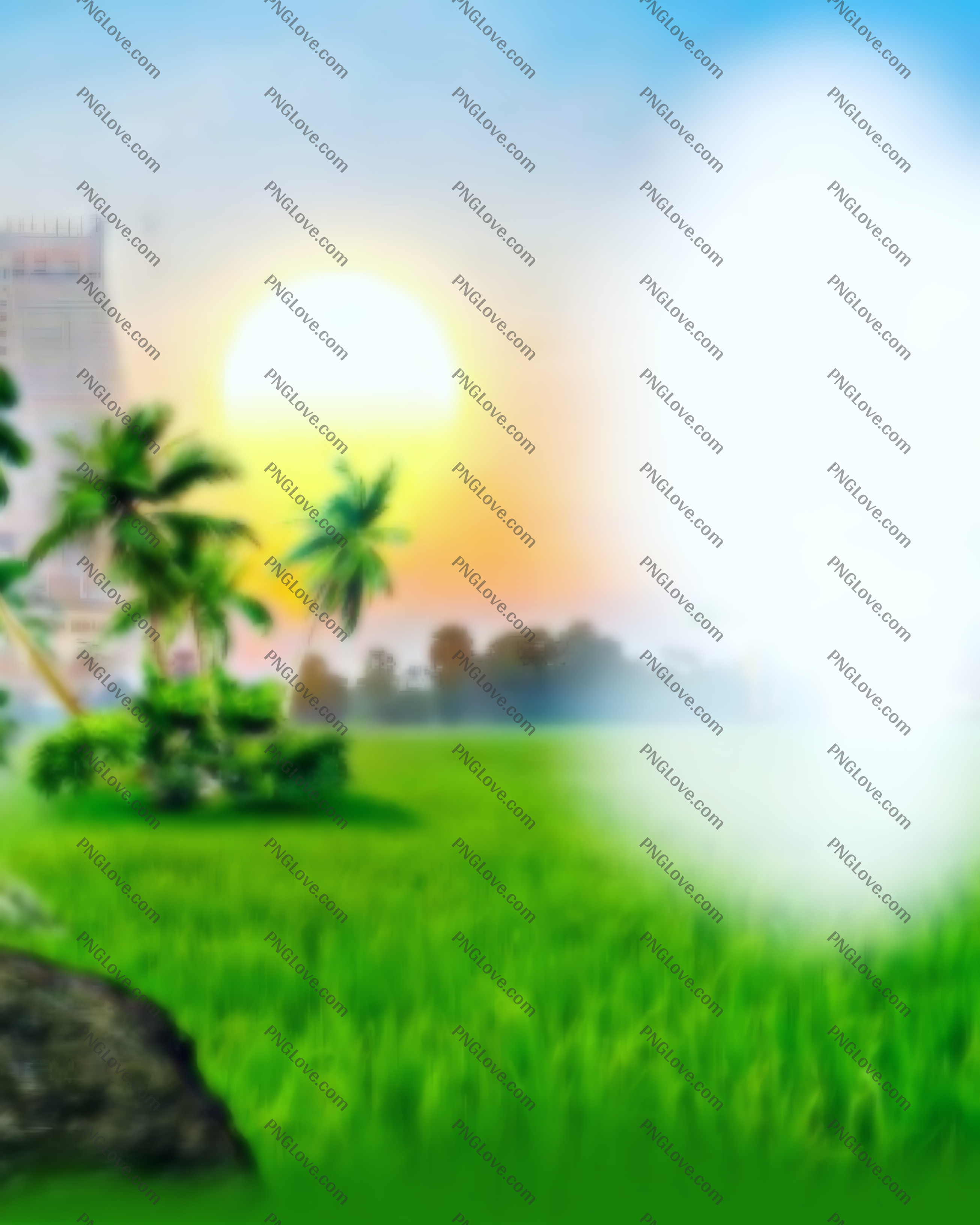 Banner & Poster Designing Background | Free Sunrise Landscape