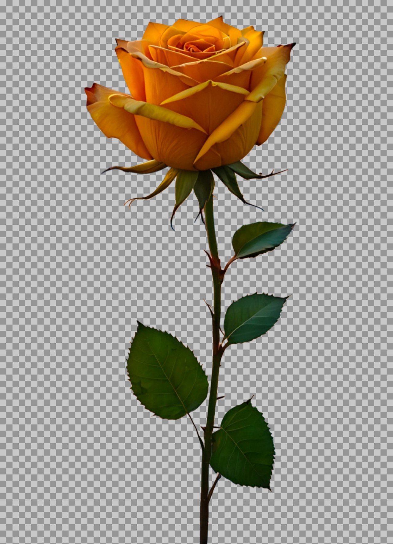Golden Rose PNG image download