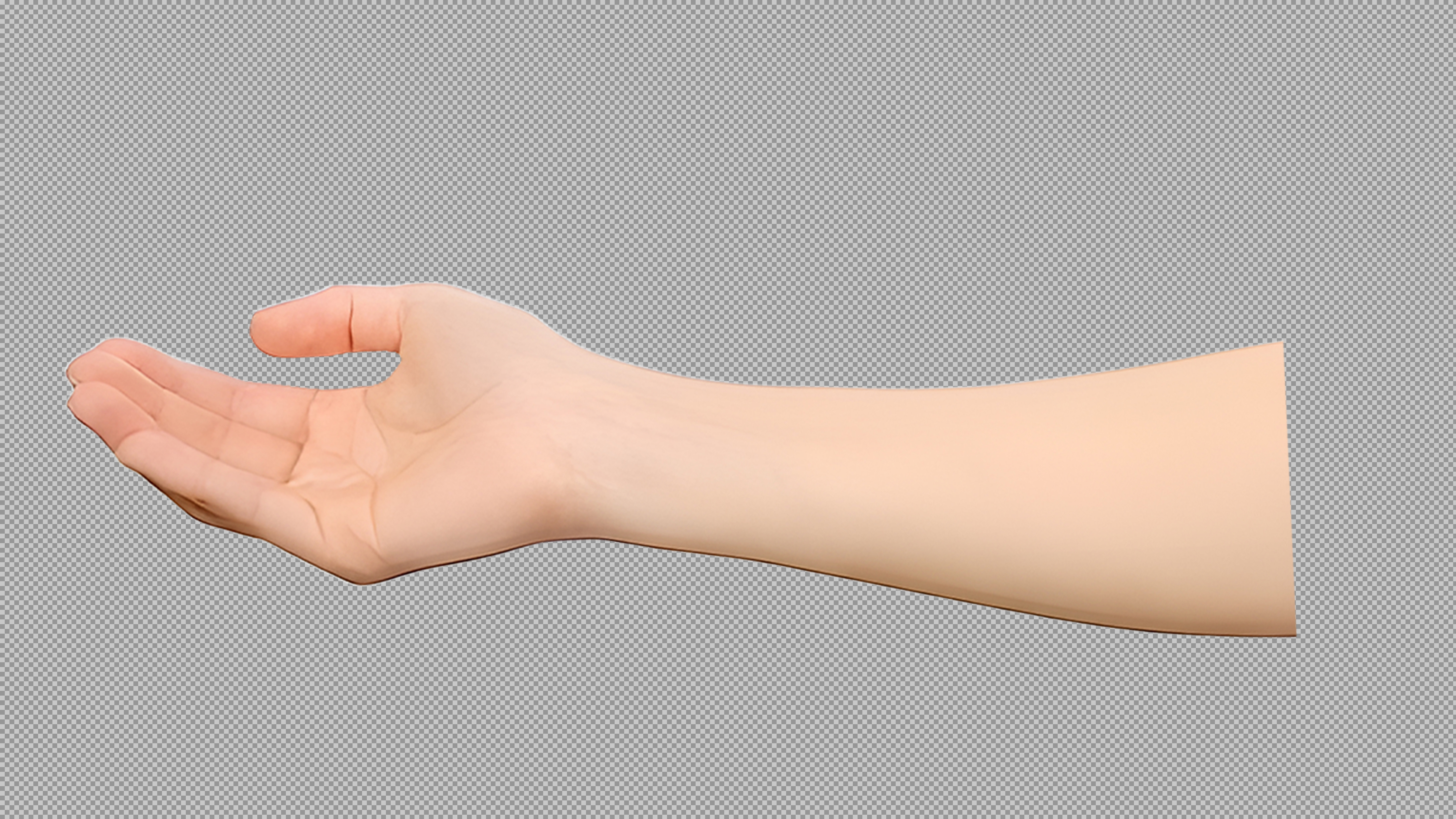 Open Hand Palm Up PNG | Transparent Download
