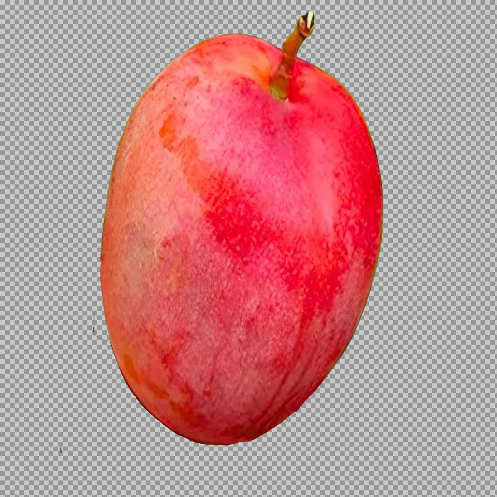 Miyazaki mango PNG image download