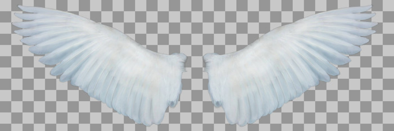 Soft White Angel Wings PNG | Free Transparent Download