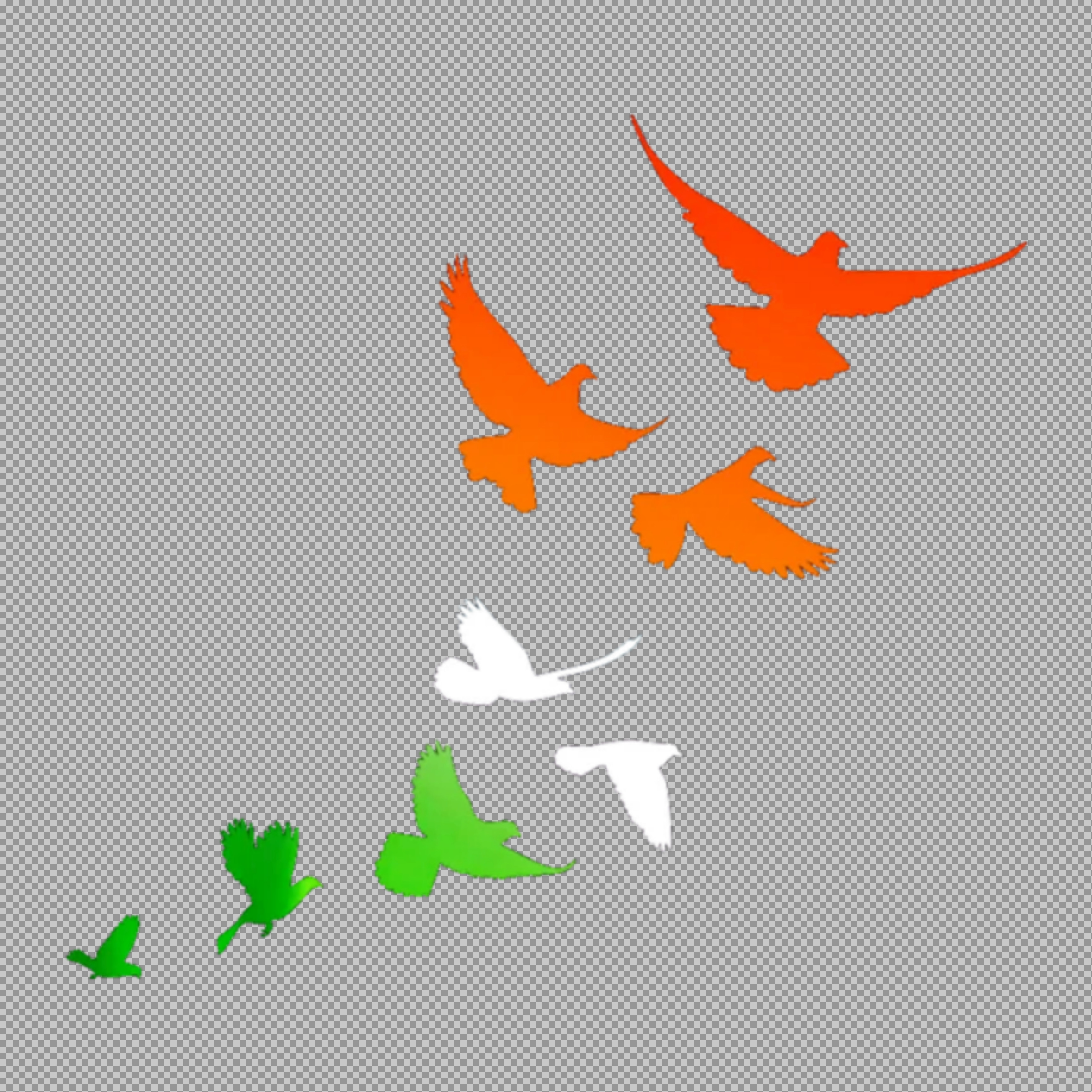 Indian Flag Birds of Freedom PNG | Tricolor Patriotic Graphic