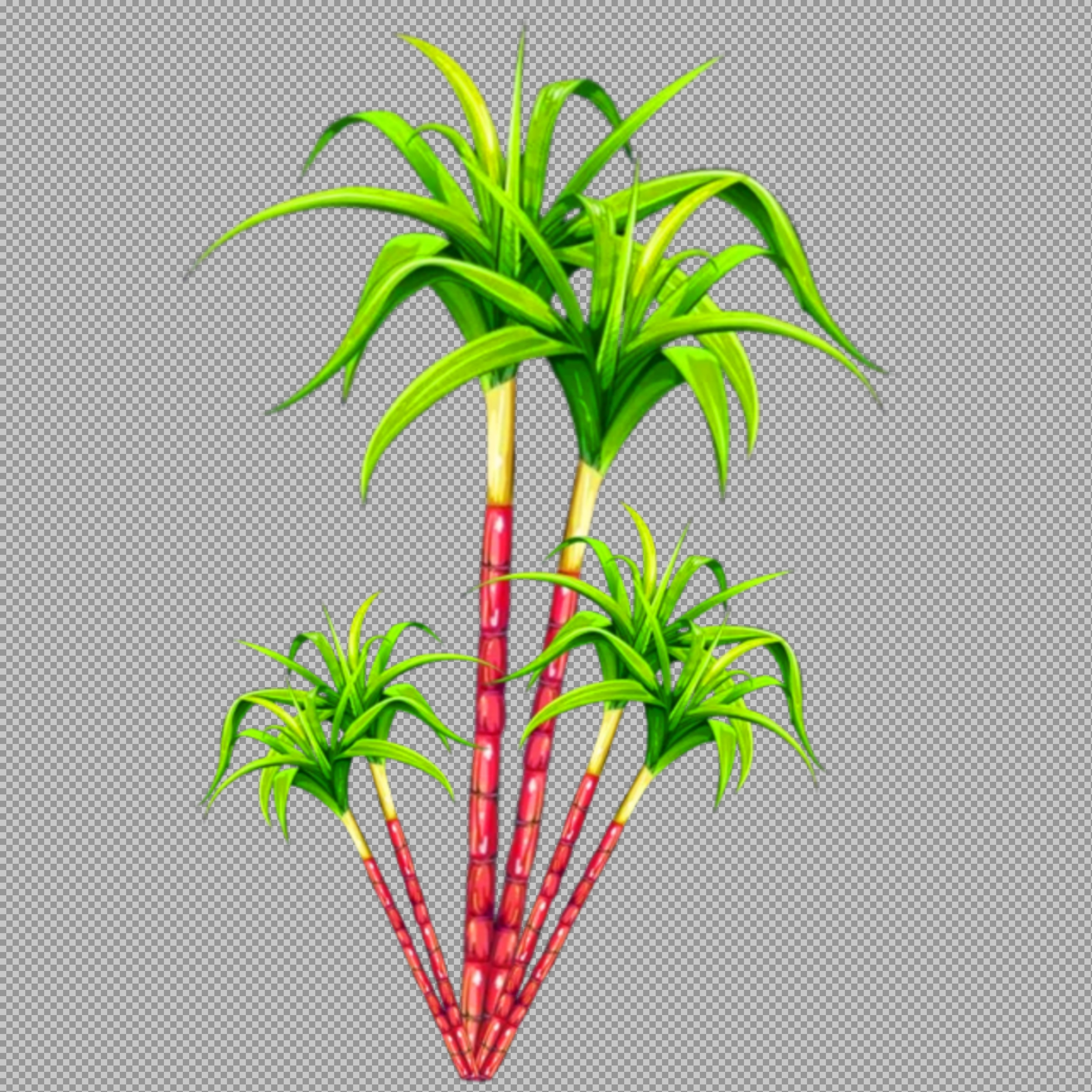 Red Sugarcane Plant PNG | Harvest Festival & Agriculture Illustration...