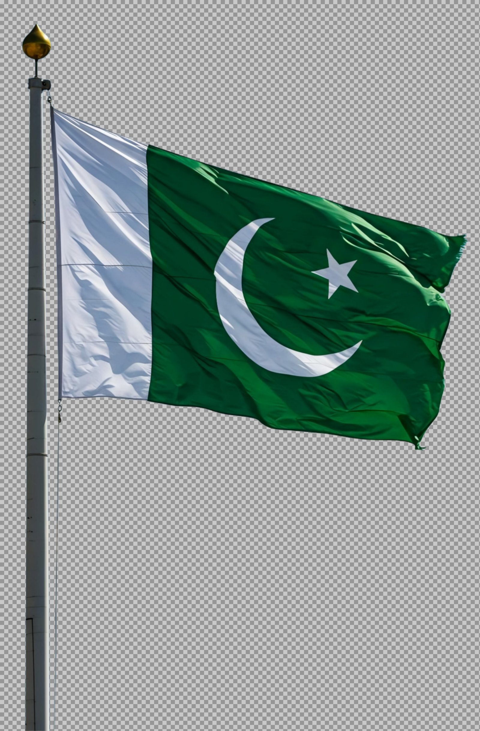 Free Pakistan flag PNG download...
