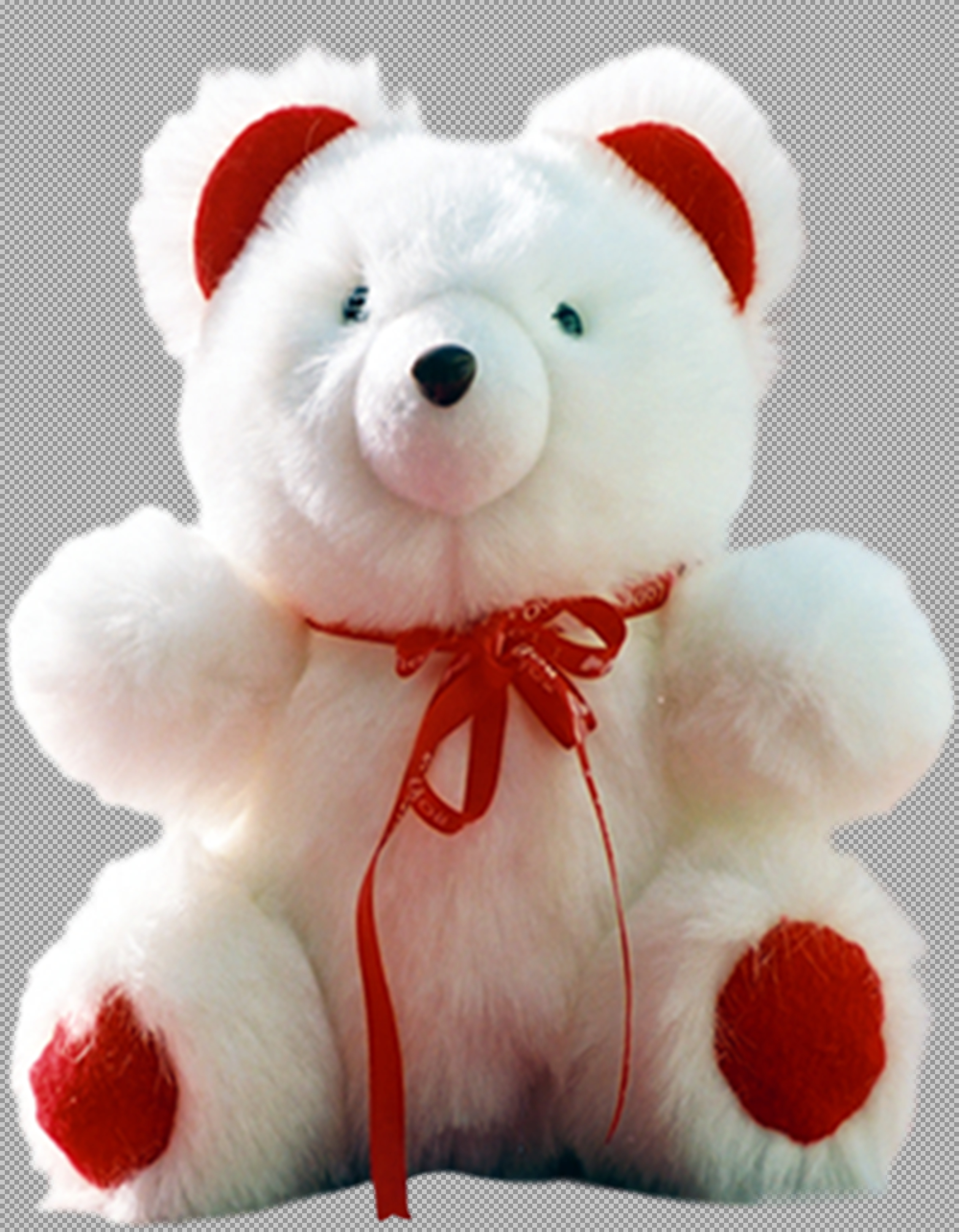 Adorable White Teddy Bear PNG | Valentine