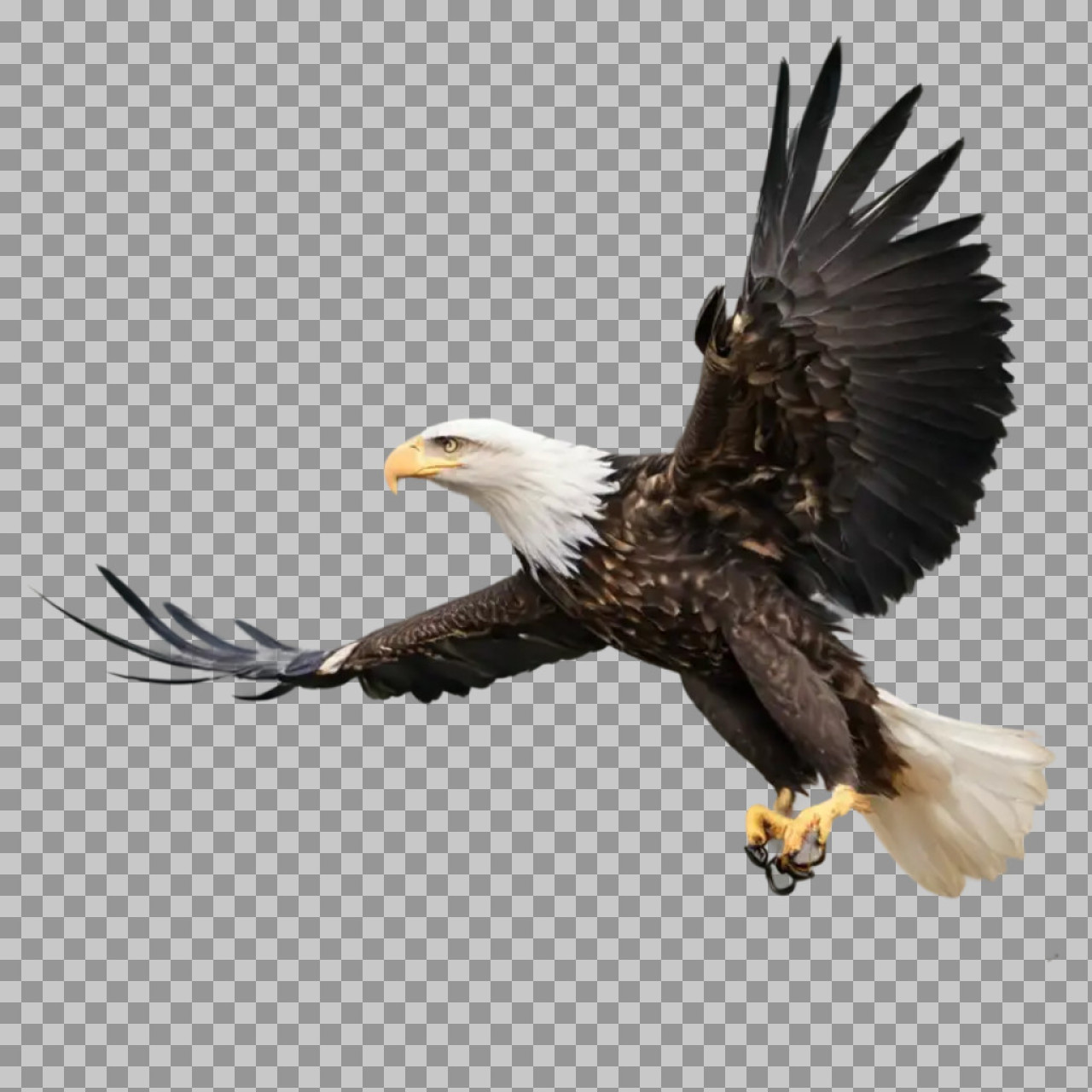 Flying Bald Eagle PNG | Majestic American Bird Image...