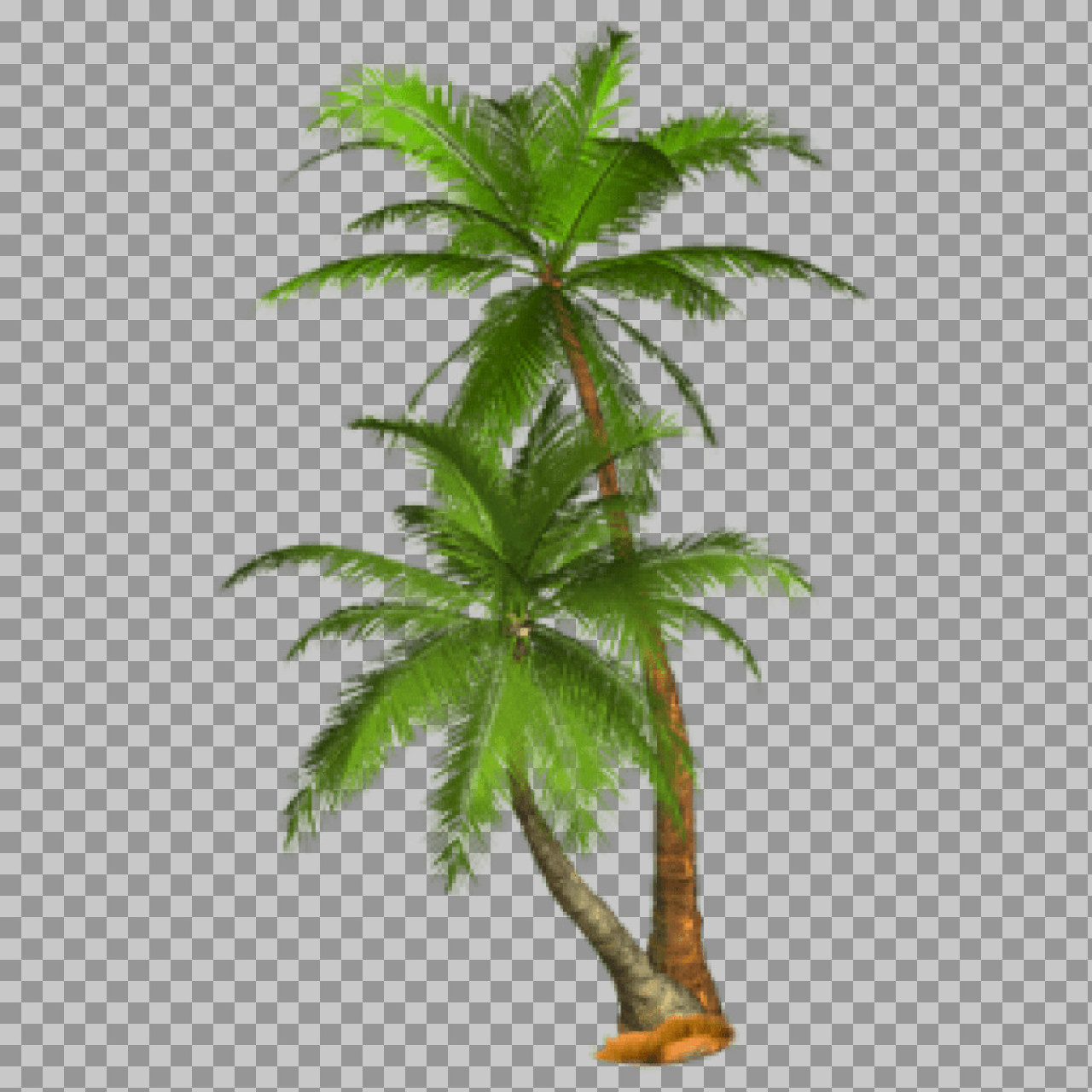 Palm Tree Pixel Art PNG | Retro Tropical Sprite