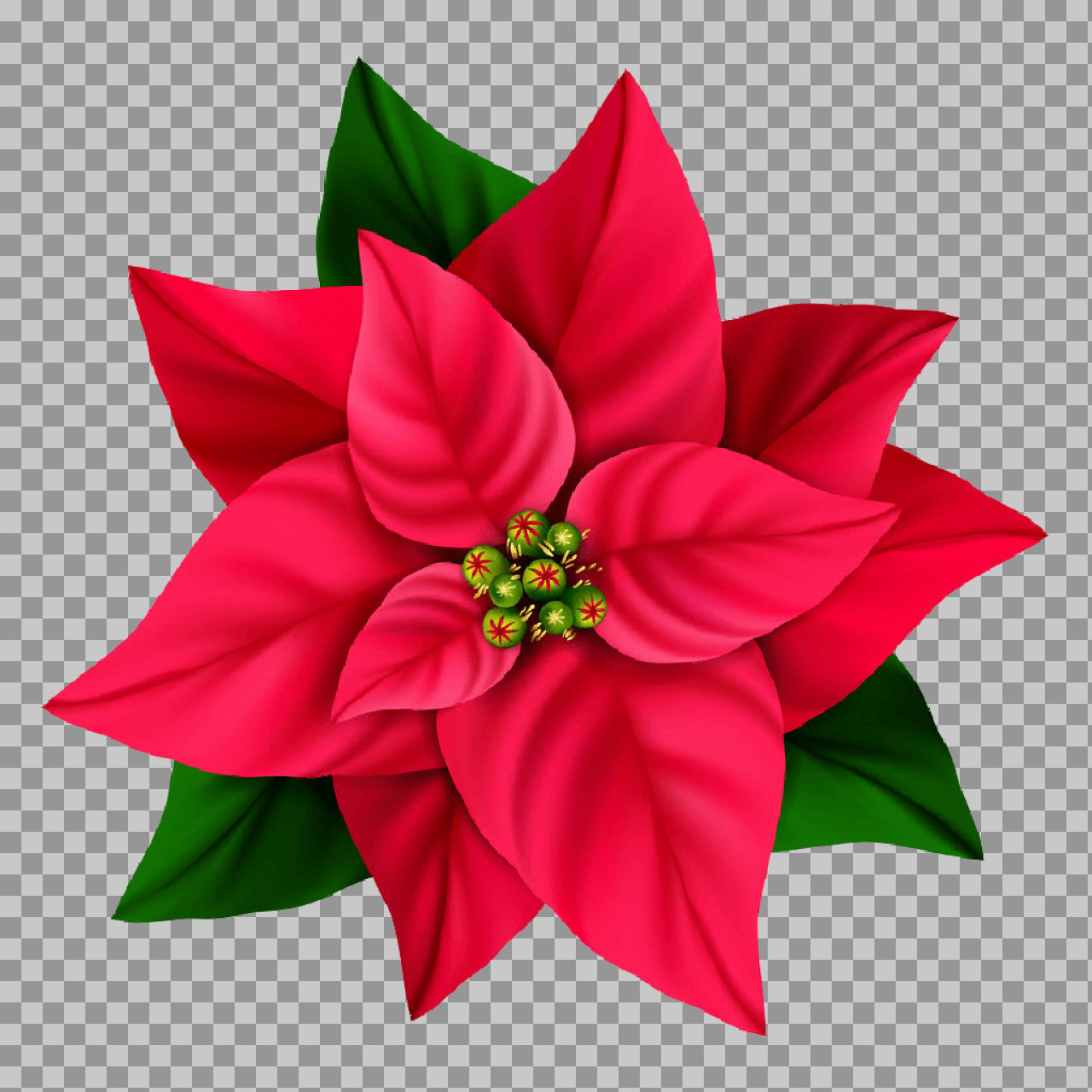 Christmas Poinsettia PNG | Holiday Flower Illustration...