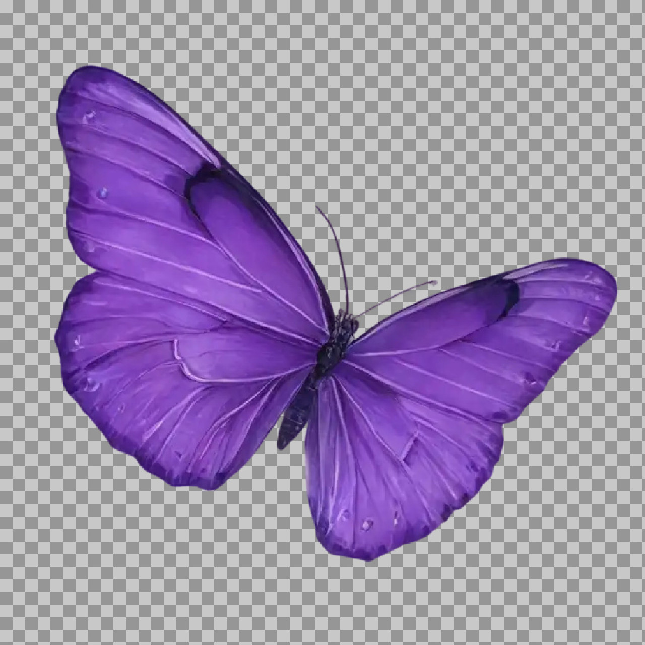 Elegant Purple Butterfly PNG | Isolated Illustration...