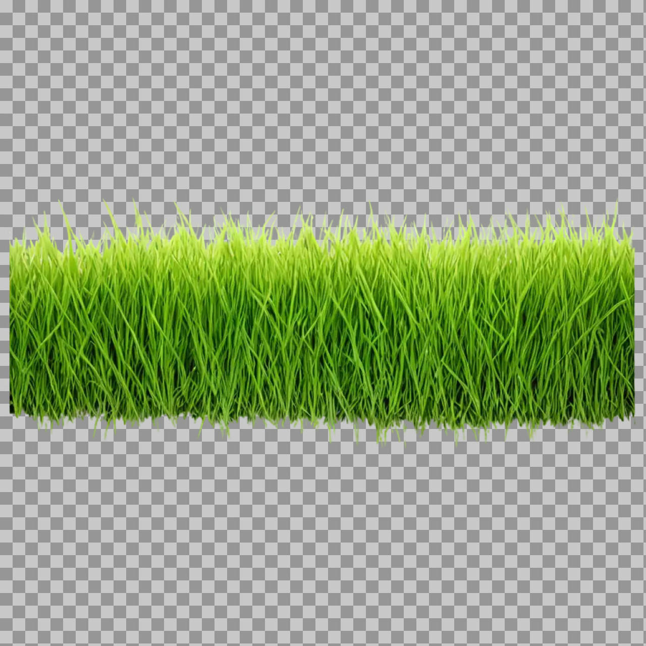 Green Grass Border PNG Transparent Background – Realistic Lawn Grass Image...
