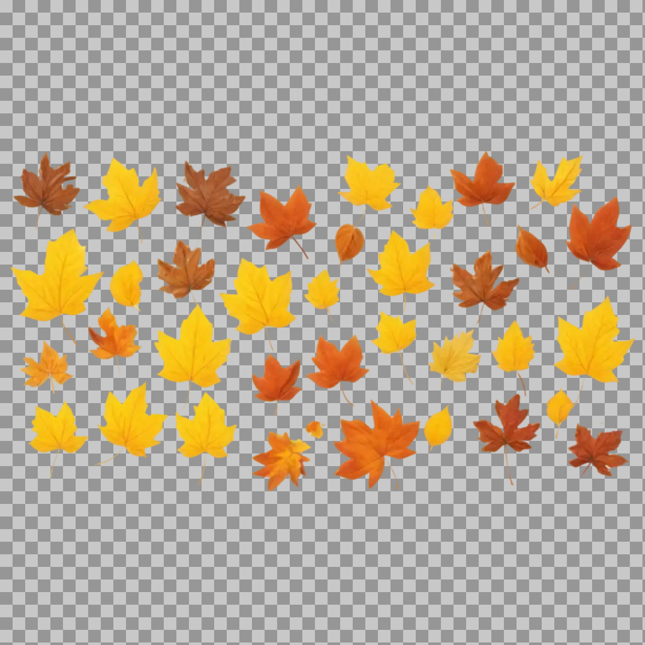 Autumn Maple Leaves PNG – Fall Foliage Collection...