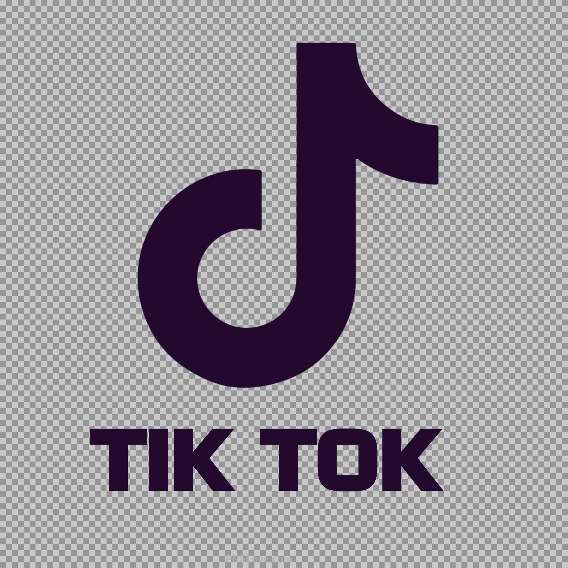 Tik Tok icon logo PNG image...