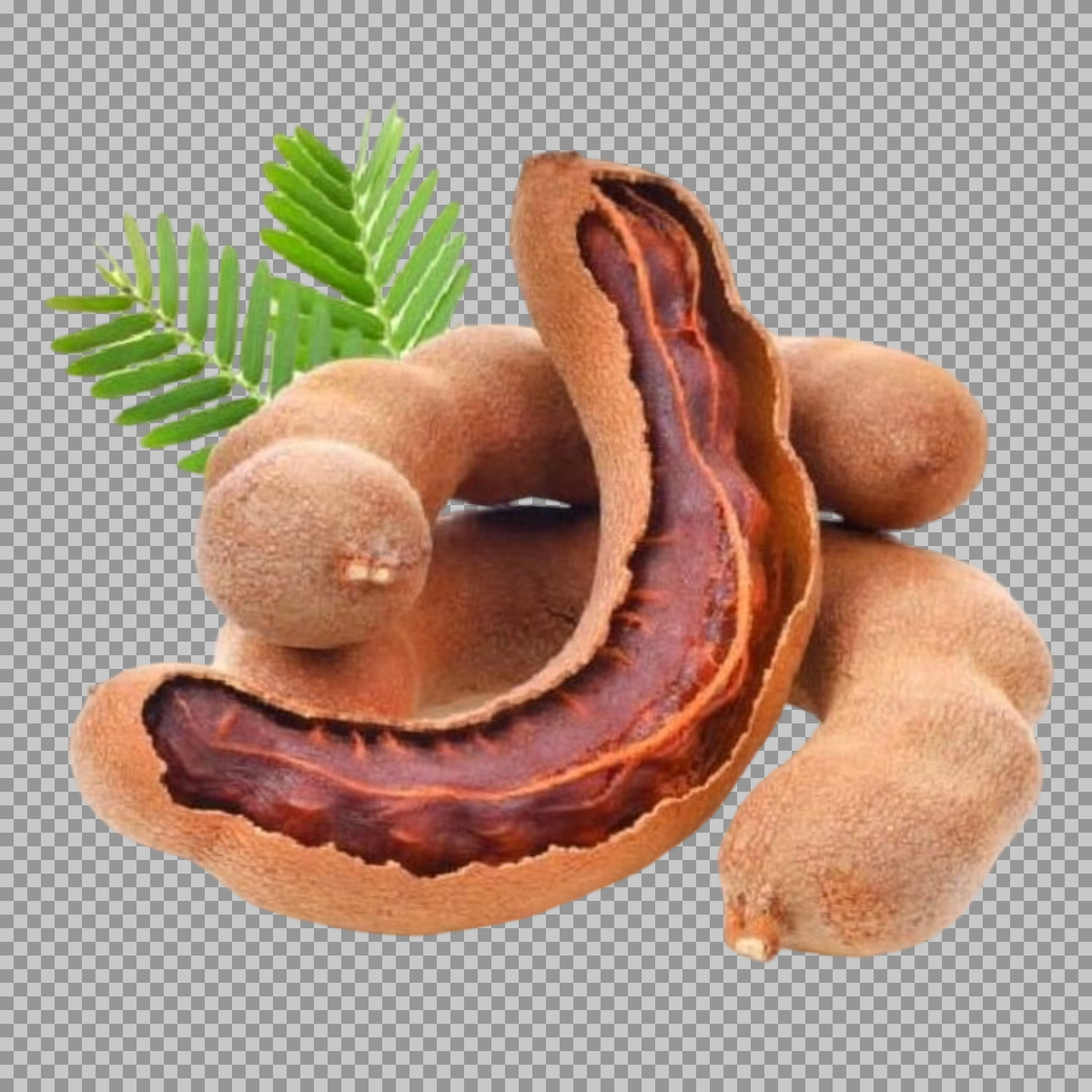 Tamarind Pods with Leaves PNG | Transparent Background...