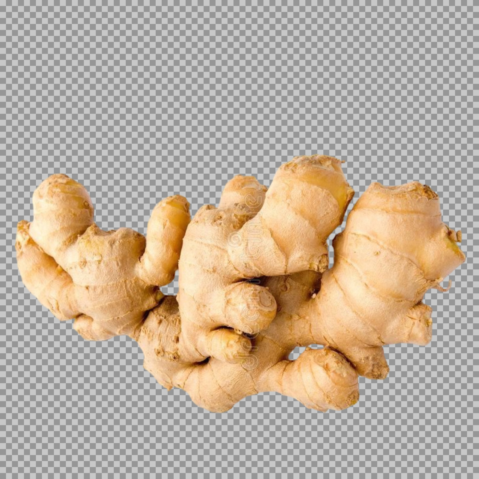 Fresh Ginger Root PNG | Isolated Spice with Transparent Background...